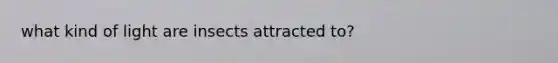 what kind of light are insects attracted to?