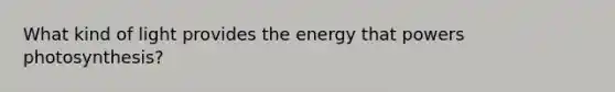 What kind of light provides the energy that powers photosynthesis?