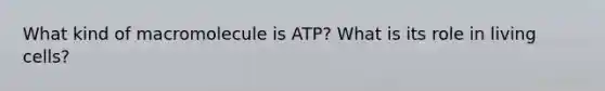 What kind of macromolecule is ATP? What is its role in living cells?