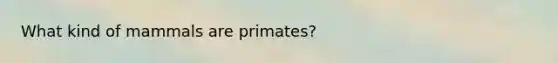 What kind of mammals are primates?