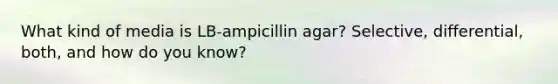 What kind of media is LB-ampicillin agar? Selective, differential, both, and how do you know?