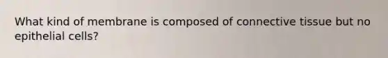 What kind of membrane is composed of <a href='https://www.questionai.com/knowledge/kYDr0DHyc8-connective-tissue' class='anchor-knowledge'>connective tissue</a> but no epithelial cells?