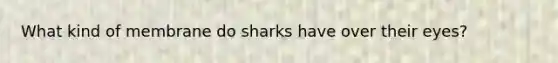 What kind of membrane do sharks have over their eyes?