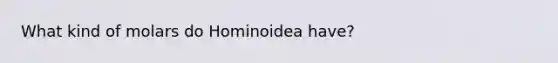 What kind of molars do Hominoidea have?