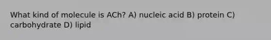 What kind of molecule is ACh? A) nucleic acid B) protein C) carbohydrate D) lipid