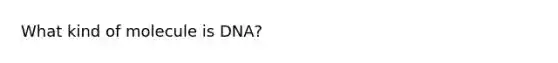 What kind of molecule is DNA?