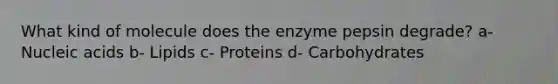 What kind of molecule does the enzyme pepsin degrade? a- Nucleic acids b- Lipids c- Proteins d- Carbohydrates