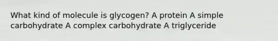 What kind of molecule is glycogen? A protein A simple carbohydrate A complex carbohydrate A triglyceride