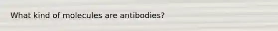 What kind of molecules are antibodies?