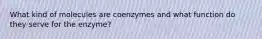 What kind of molecules are coenzymes and what function do they serve for the enzyme?