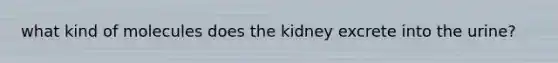 what kind of molecules does the kidney excrete into the urine?