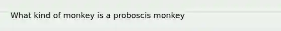 What kind of monkey is a proboscis monkey