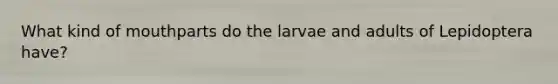 What kind of mouthparts do the larvae and adults of Lepidoptera have?