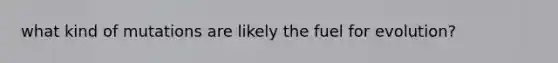 what kind of mutations are likely the fuel for evolution?