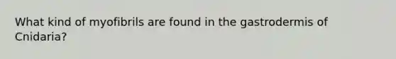 What kind of myofibrils are found in the gastrodermis of Cnidaria?
