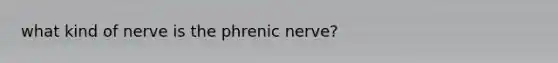 what kind of nerve is the phrenic nerve?