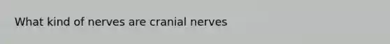 What kind of nerves are cranial nerves