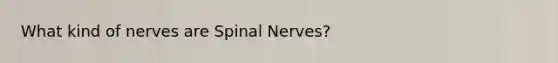 What kind of nerves are <a href='https://www.questionai.com/knowledge/kyBL1dWgAx-spinal-nerves' class='anchor-knowledge'>spinal nerves</a>?