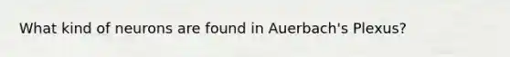 What kind of neurons are found in Auerbach's Plexus?