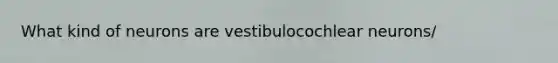 What kind of neurons are vestibulocochlear neurons/