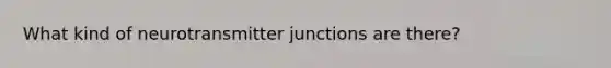 What kind of neurotransmitter junctions are there?