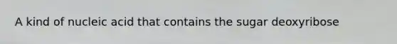 A kind of nucleic acid that contains the sugar deoxyribose