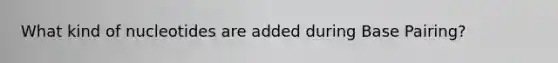 What kind of nucleotides are added during Base Pairing?