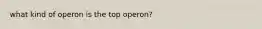 what kind of operon is the top operon?