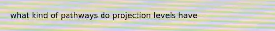 what kind of pathways do projection levels have