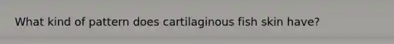 What kind of pattern does cartilaginous fish skin have?