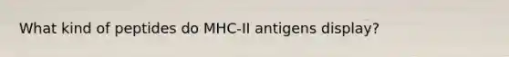 What kind of peptides do MHC-II antigens display?