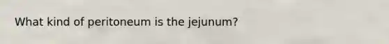 What kind of peritoneum is the jejunum?