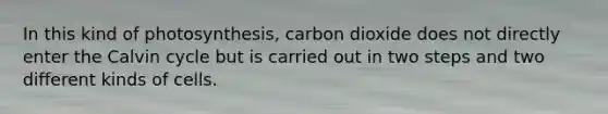 In this kind of photosynthesis, carbon dioxide does not directly enter the Calvin cycle but is carried out in two steps and two different kinds of cells.