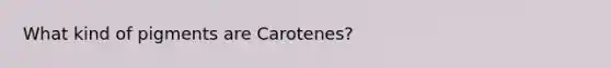 What kind of pigments are Carotenes?