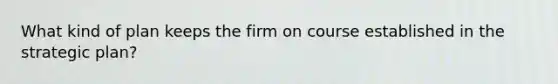 What kind of plan keeps the firm on course established in the strategic plan?