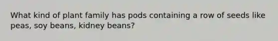 What kind of plant family has pods containing a row of seeds like peas, soy beans, kidney beans?