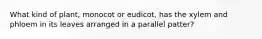 What kind of plant, monocot or eudicot, has the xylem and phloem in its leaves arranged in a parallel patter?