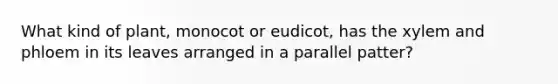 What kind of plant, monocot or eudicot, has the xylem and phloem in its leaves arranged in a parallel patter?