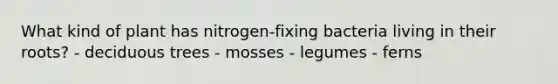 What kind of plant has nitrogen-fixing bacteria living in their roots? - deciduous trees - mosses - legumes - ferns