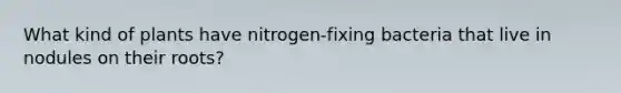 What kind of plants have nitrogen-fixing bacteria that live in nodules on their roots?