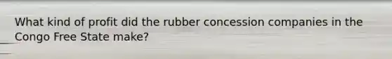 What kind of profit did the rubber concession companies in the Congo Free State make?