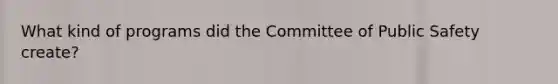 What kind of programs did the Committee of Public Safety create?