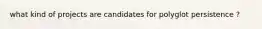 what kind of projects are candidates for polyglot persistence ?