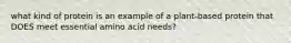 what kind of protein is an example of a plant-based protein that DOES meet essential amino acid needs?