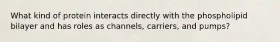 What kind of protein interacts directly with the phospholipid bilayer and has roles as channels, carriers, and pumps?