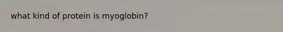 what kind of protein is myoglobin?