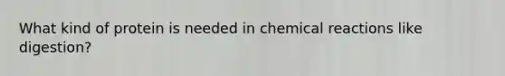 What kind of protein is needed in chemical reactions like digestion?