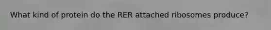 What kind of protein do the RER attached ribosomes produce?