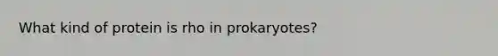 What kind of protein is rho in prokaryotes?