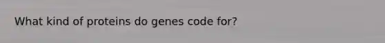 What kind of proteins do genes code for?